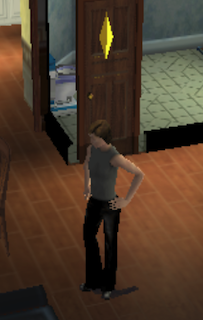 mysim